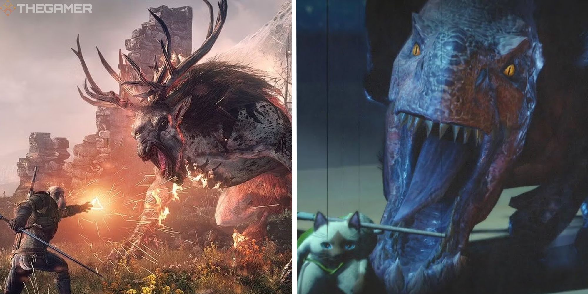 image from the witcher next to image from monster hunter