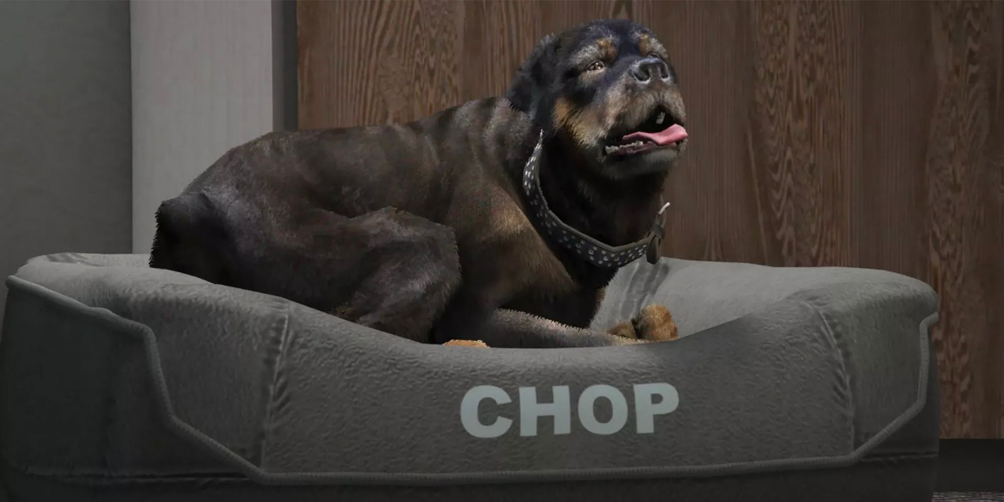 Chop the dog sitting in his bed in GTA 5