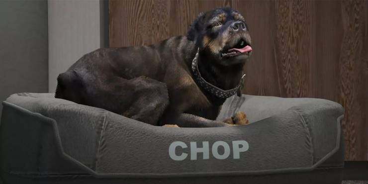 Chop The Dog