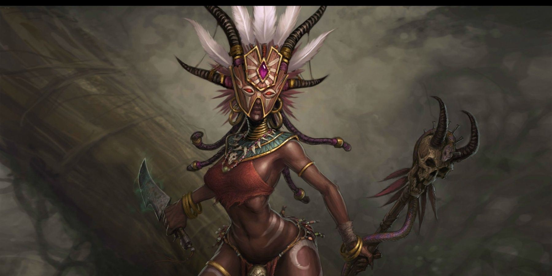 diablo 3 witch doctor