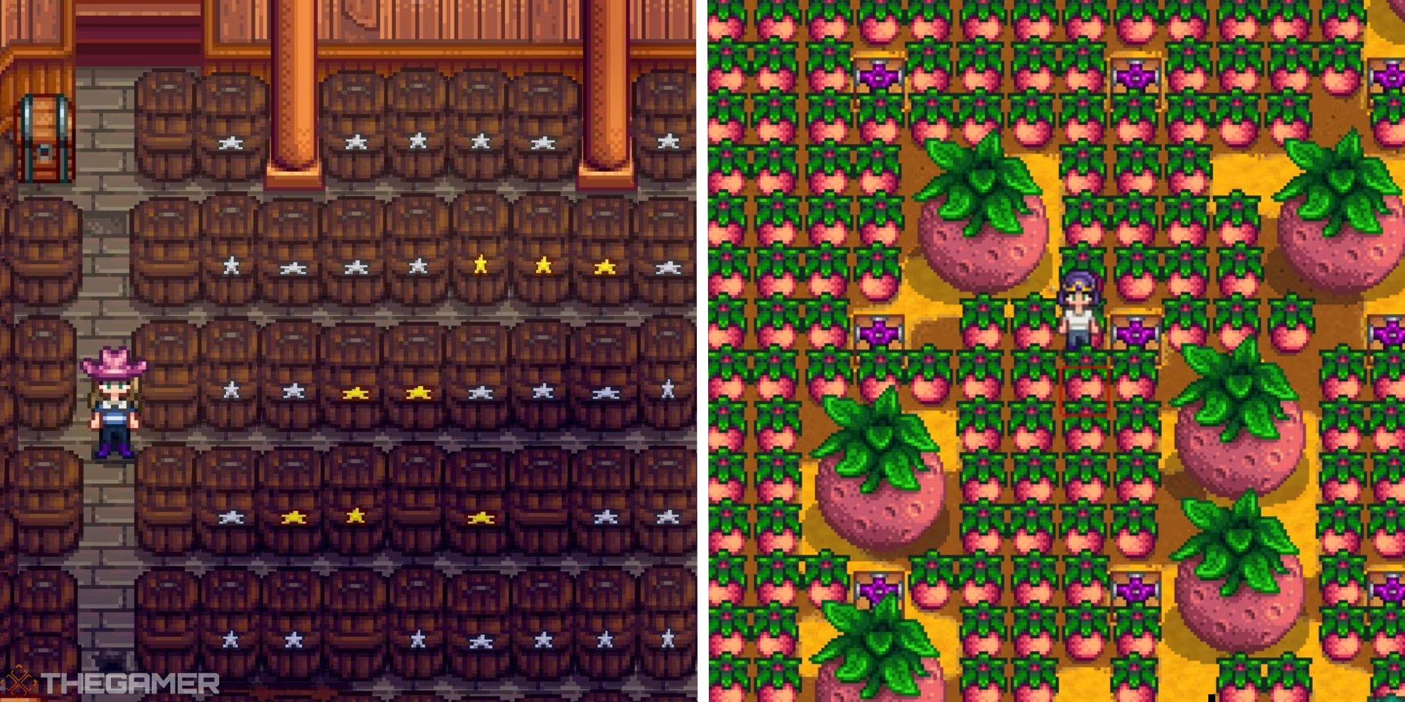 image of player in cask cellar next to image of melon crop fields