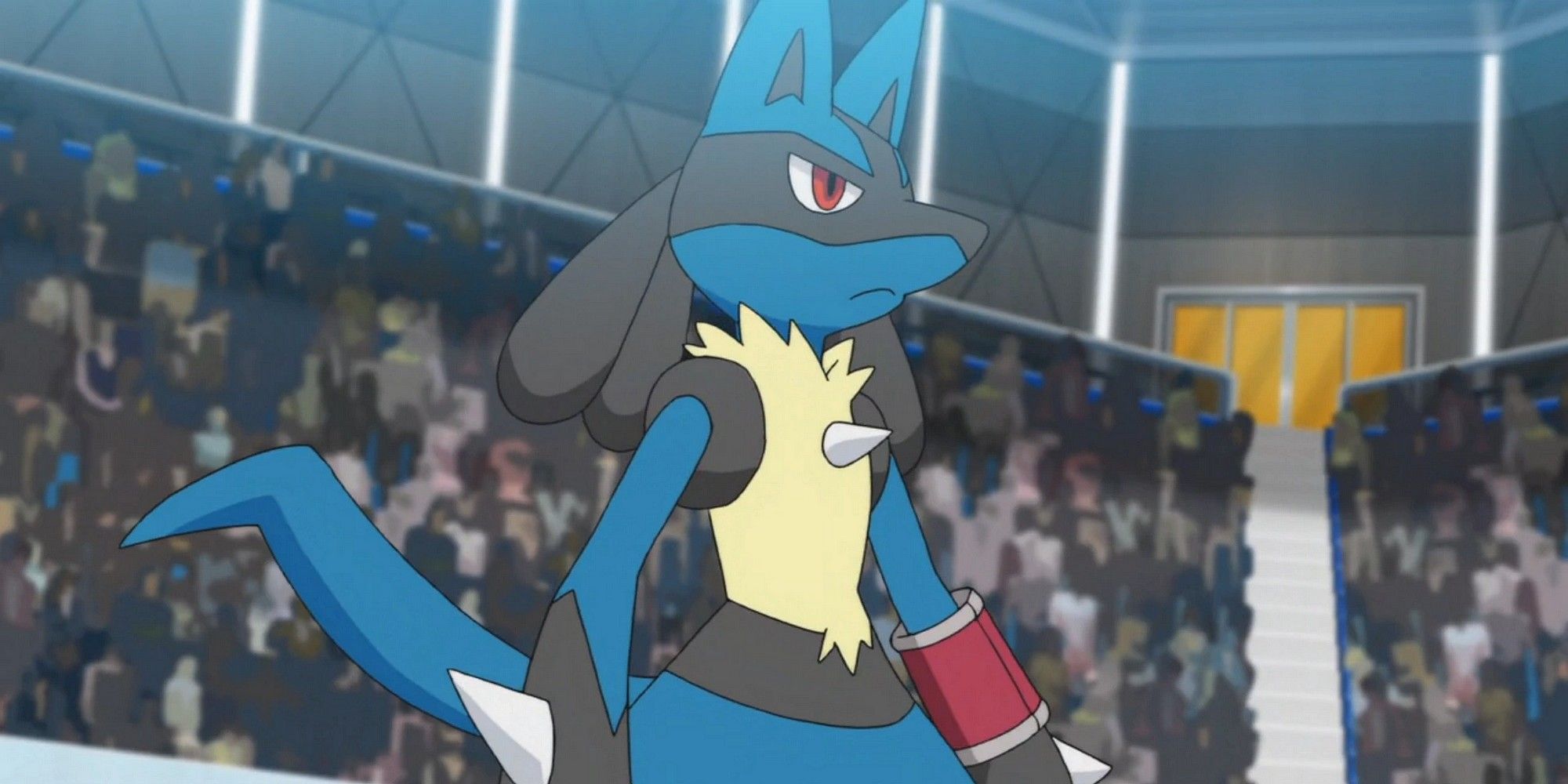 the pokemon lucario in battle