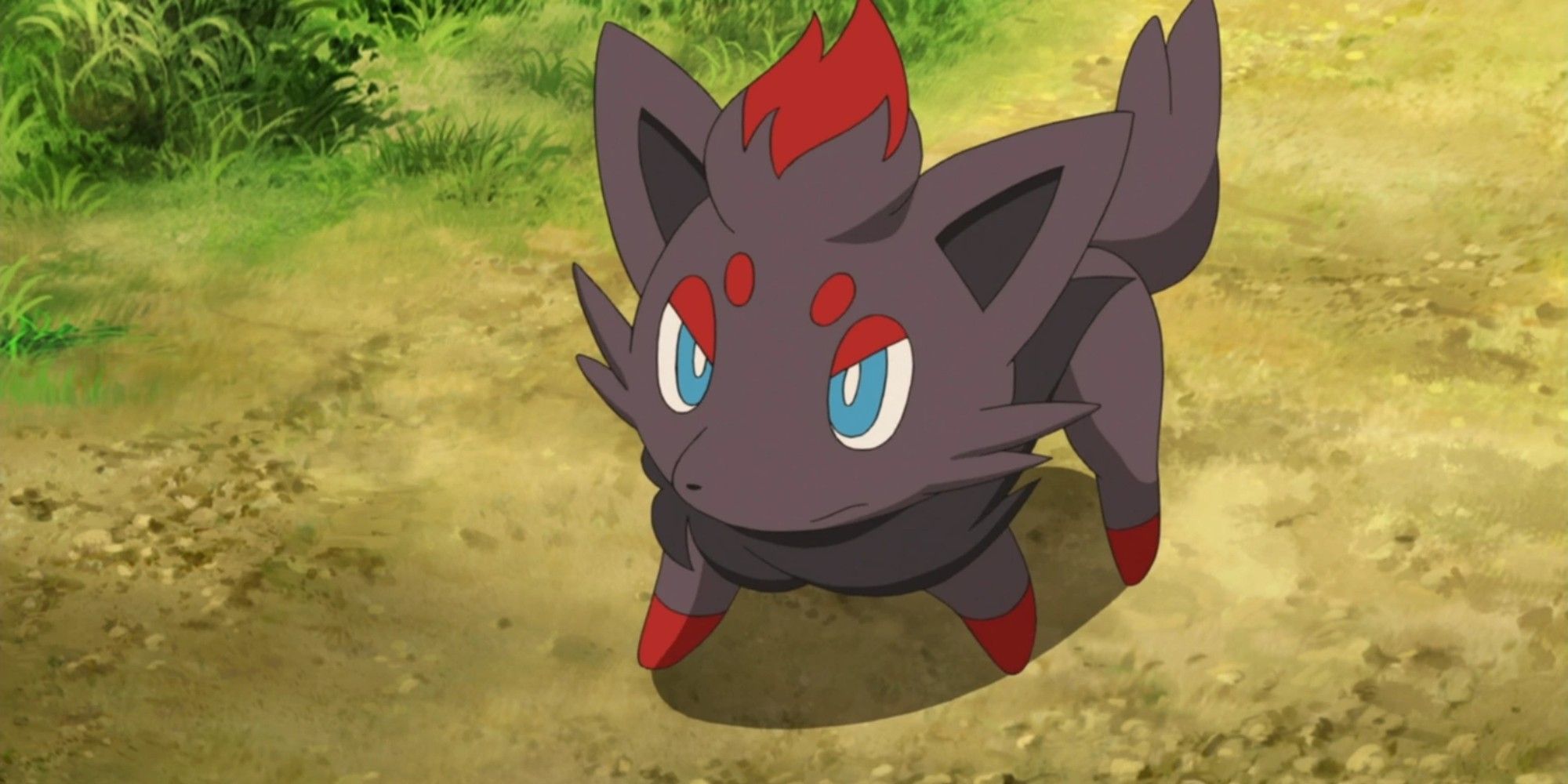 zorua