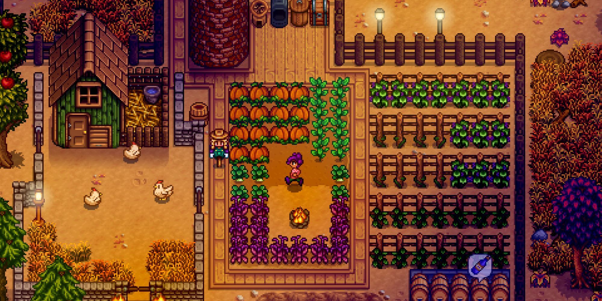 farmer tends to their pumpkin patch on their farm next to the chicken coop