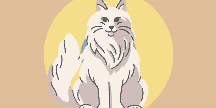 Petting The Cat