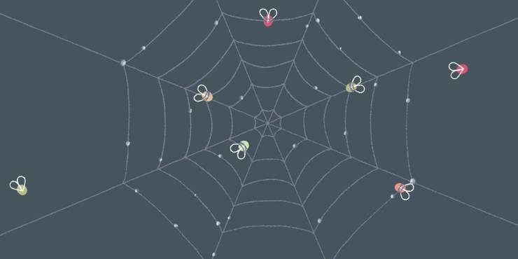 Spider Web