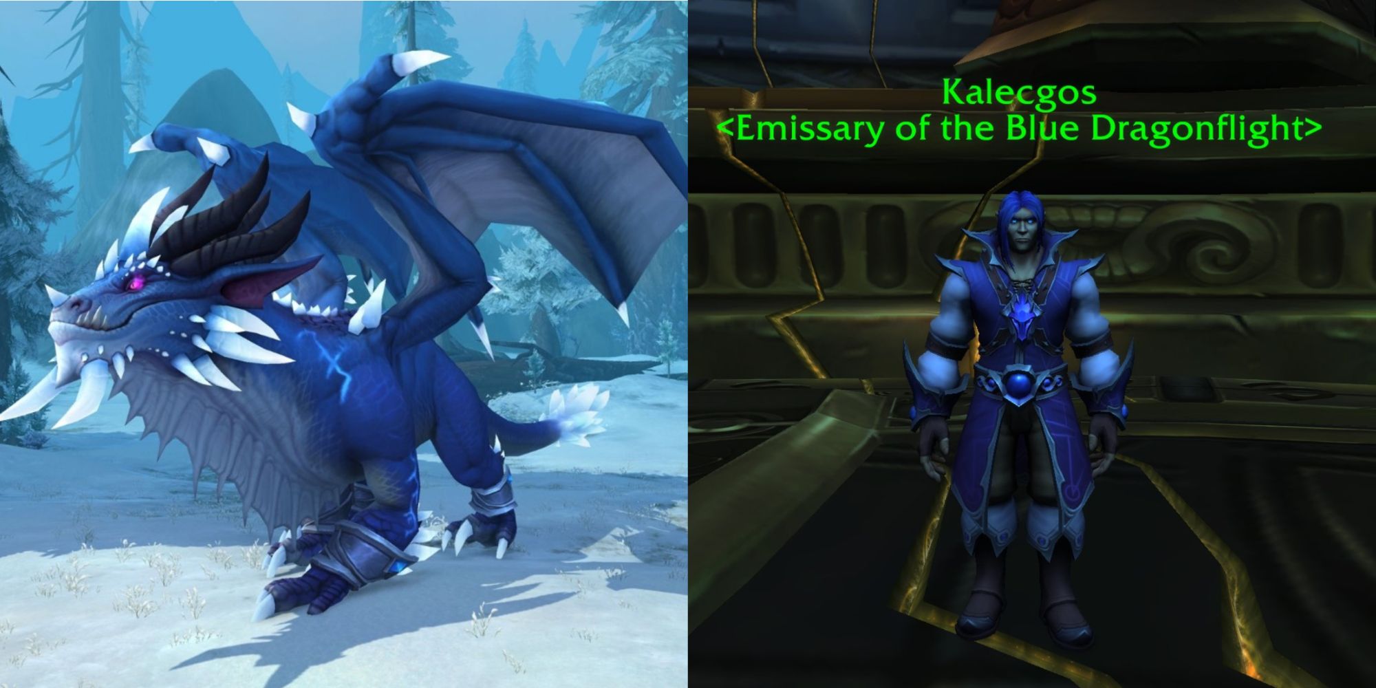 World Of Warcraft Dragonflight Kalecgos