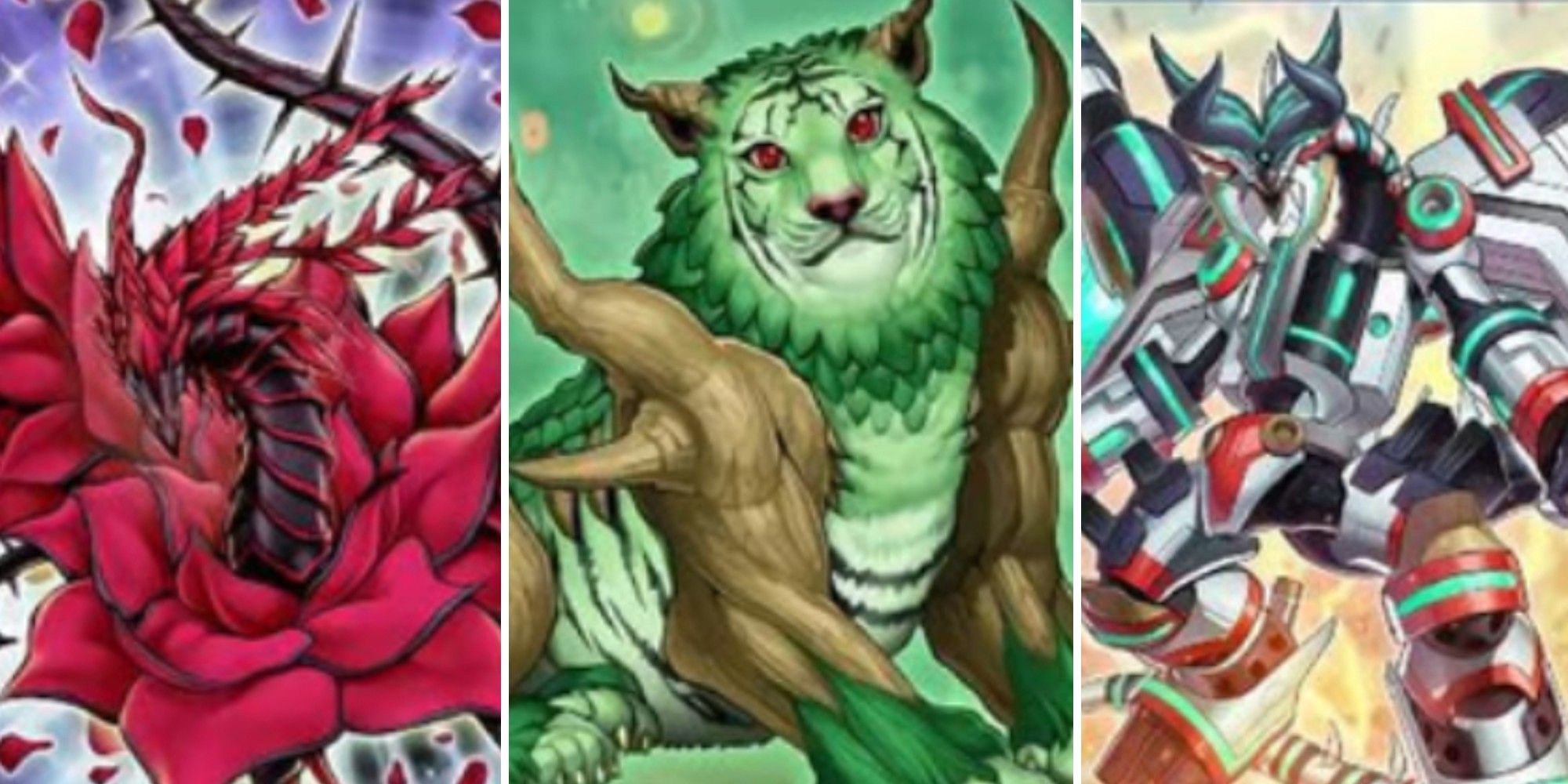Split image screenshots of the Black Rose Dragon, Naturia Beast and Borreload Savage Dragon in Yu-Gi-Oh!