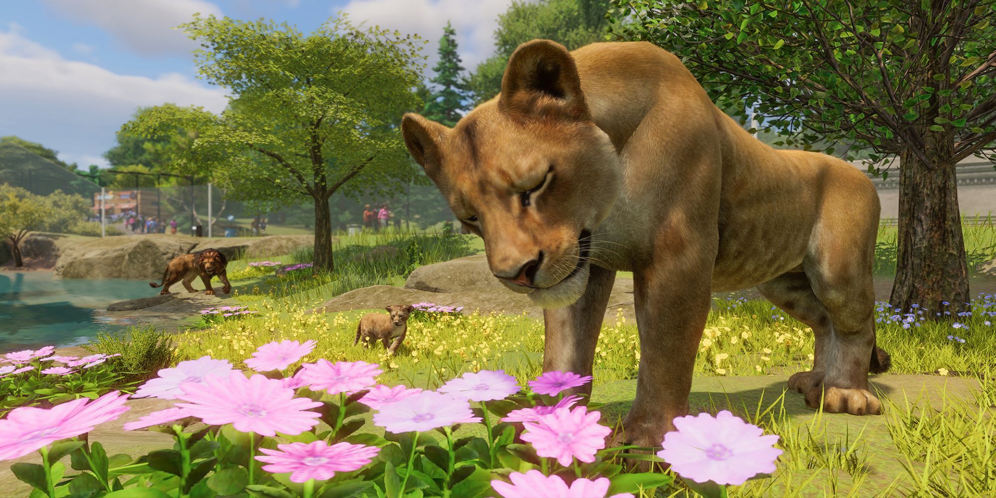 Lion Lioness and Lion Cub in Planet Zoo