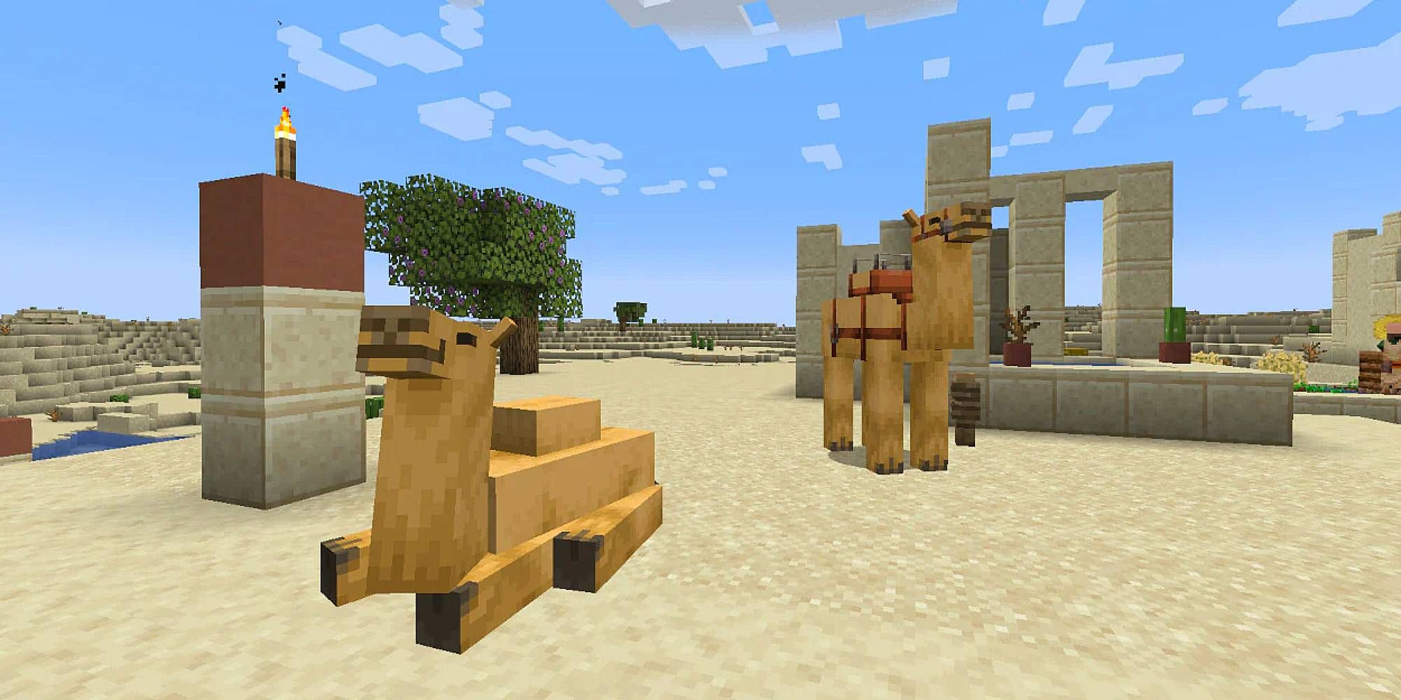 A pair of camels relax in the desert biome of Minecraft