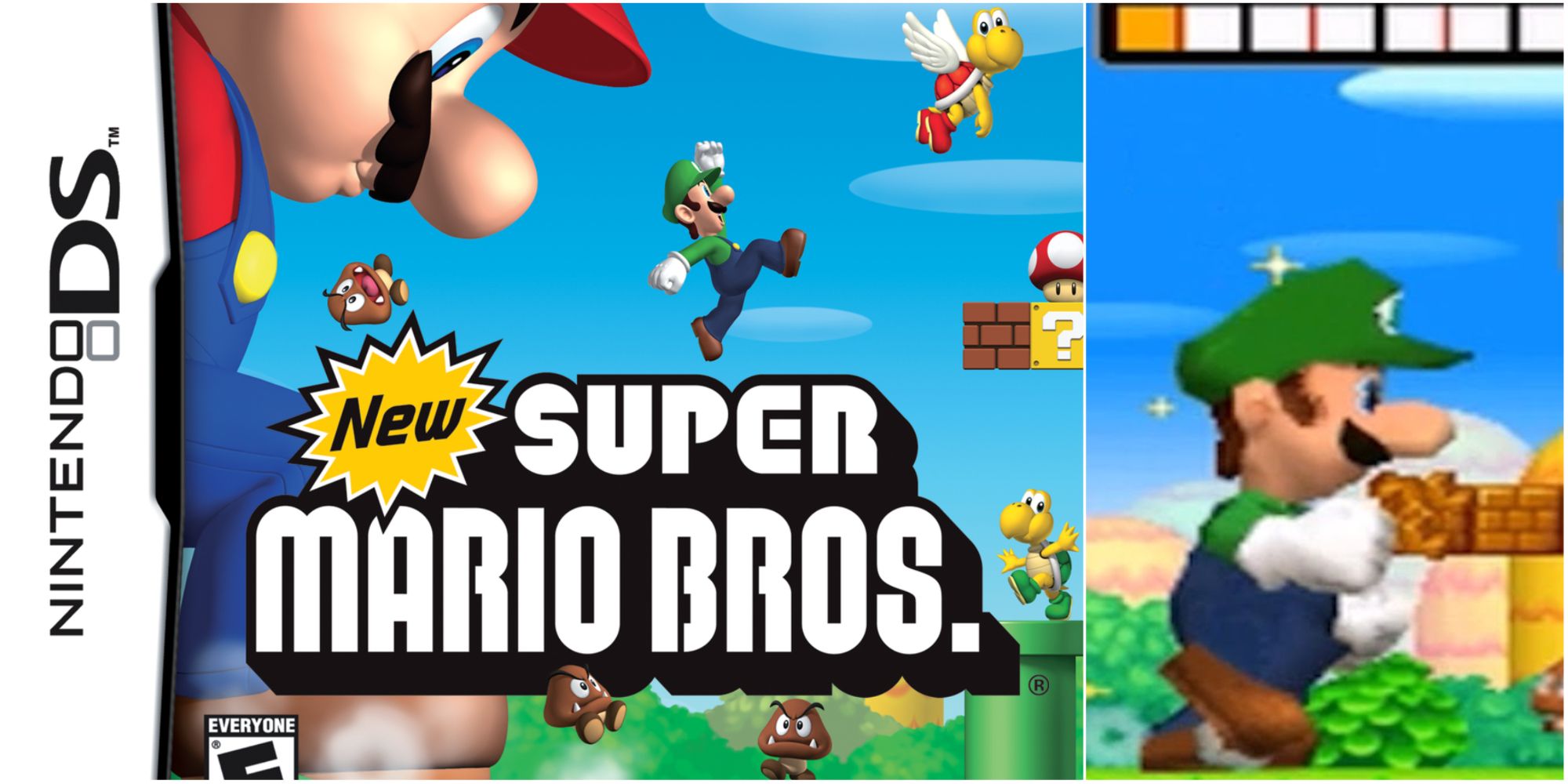 Ranking The Best Mario Games Where You Can Play As Luigi