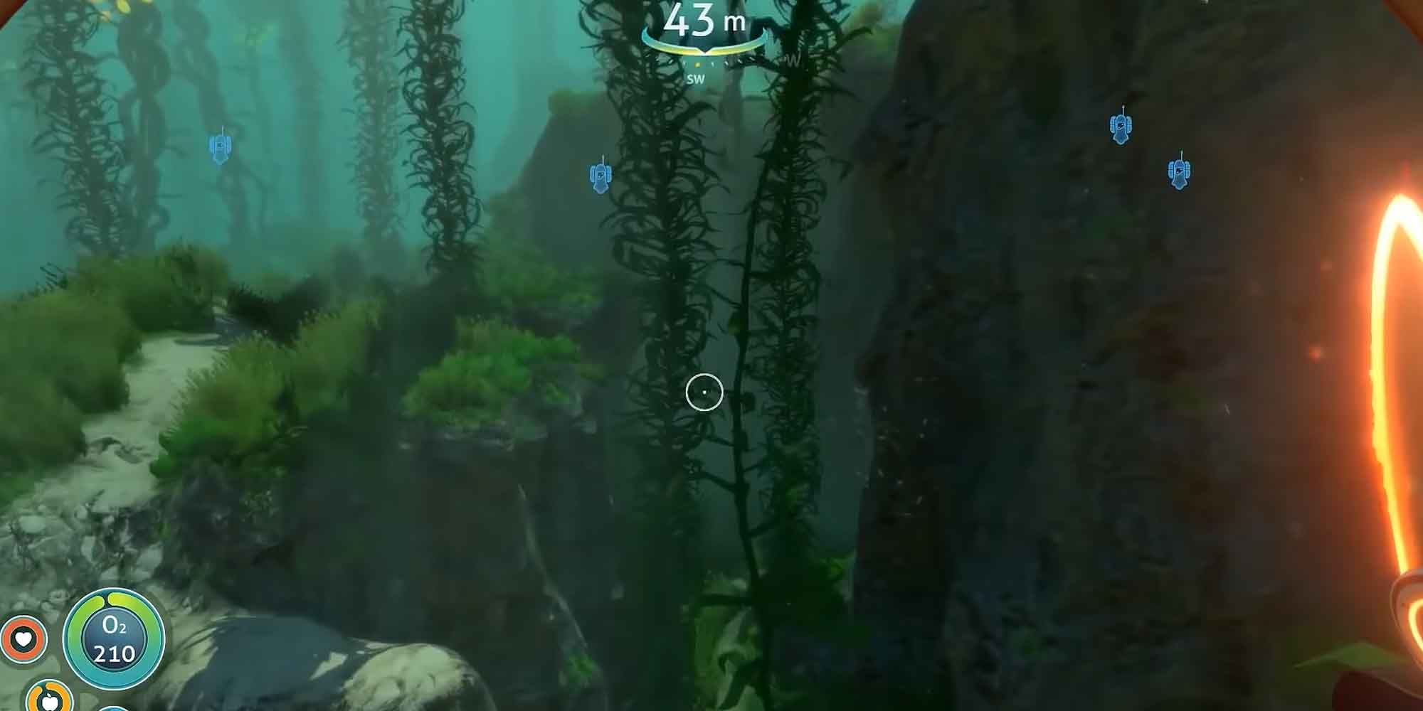 Exploring a kelp forest in Subnautica