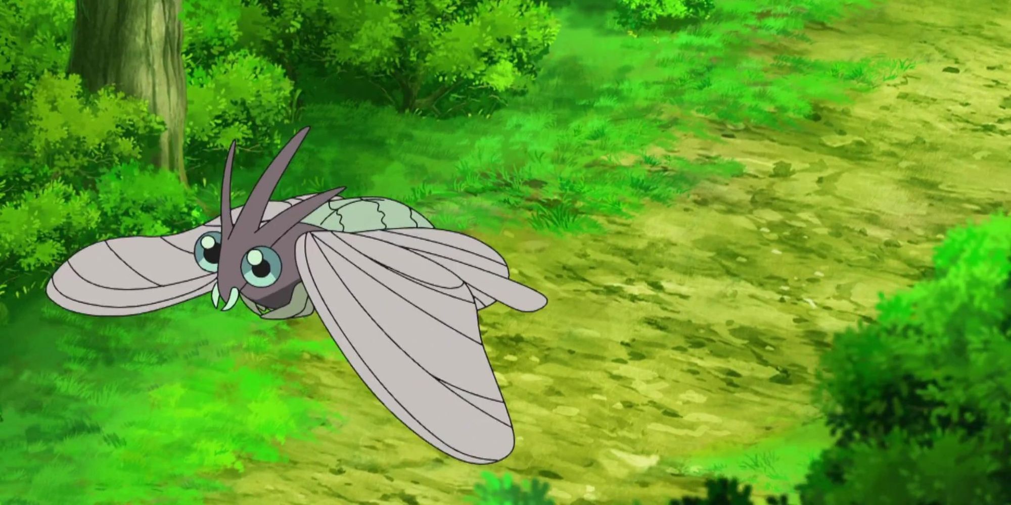 Alle Insekt Pokemon