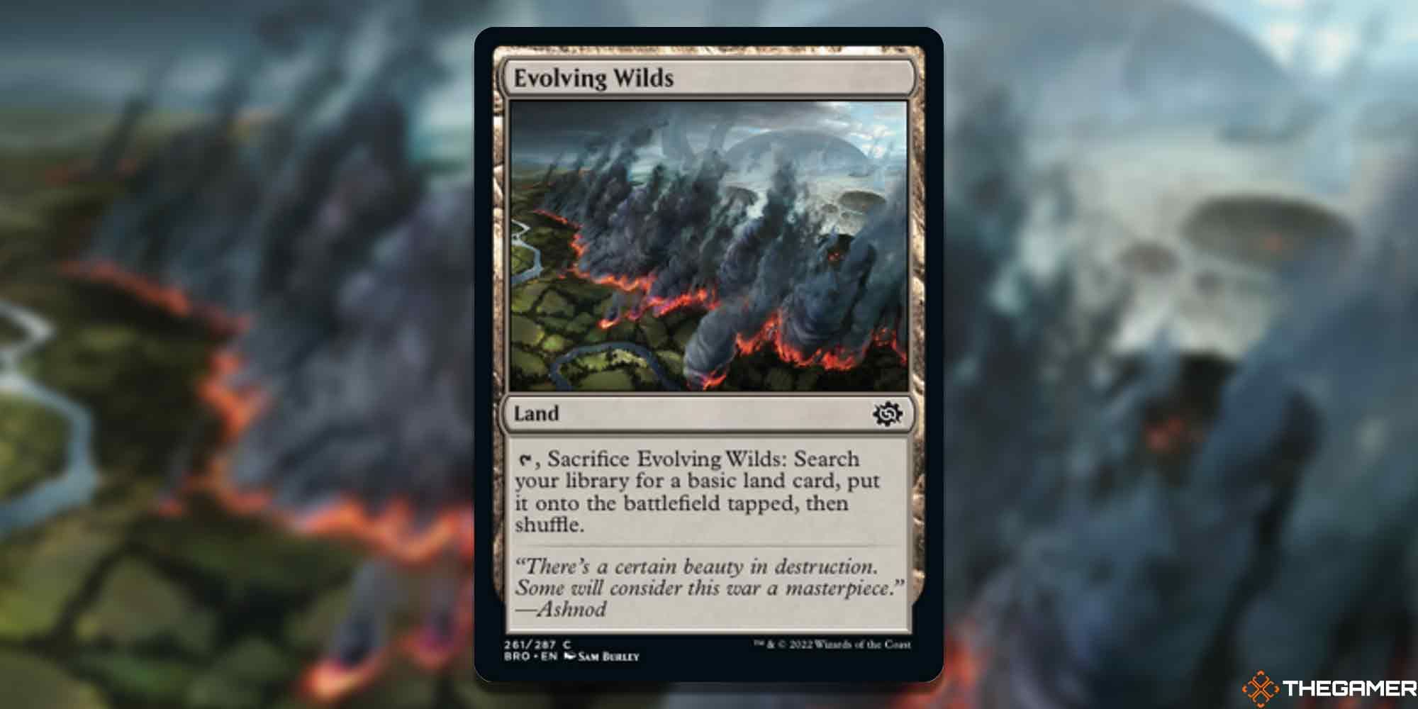 Image of the MTG Evolving Wilds card with art by Sam Burley