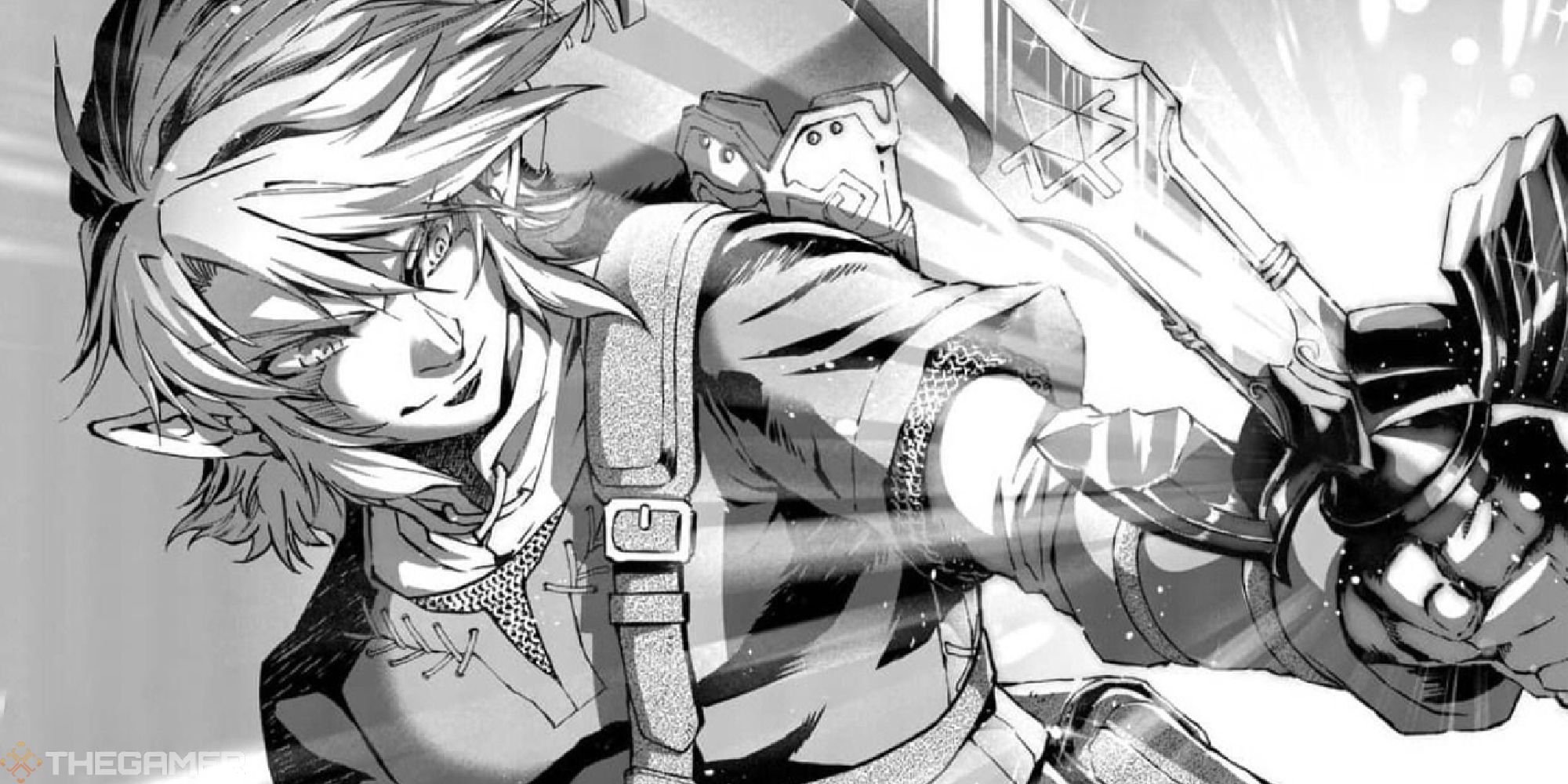 Difference Between The Legend Of Zelda Manga And Games