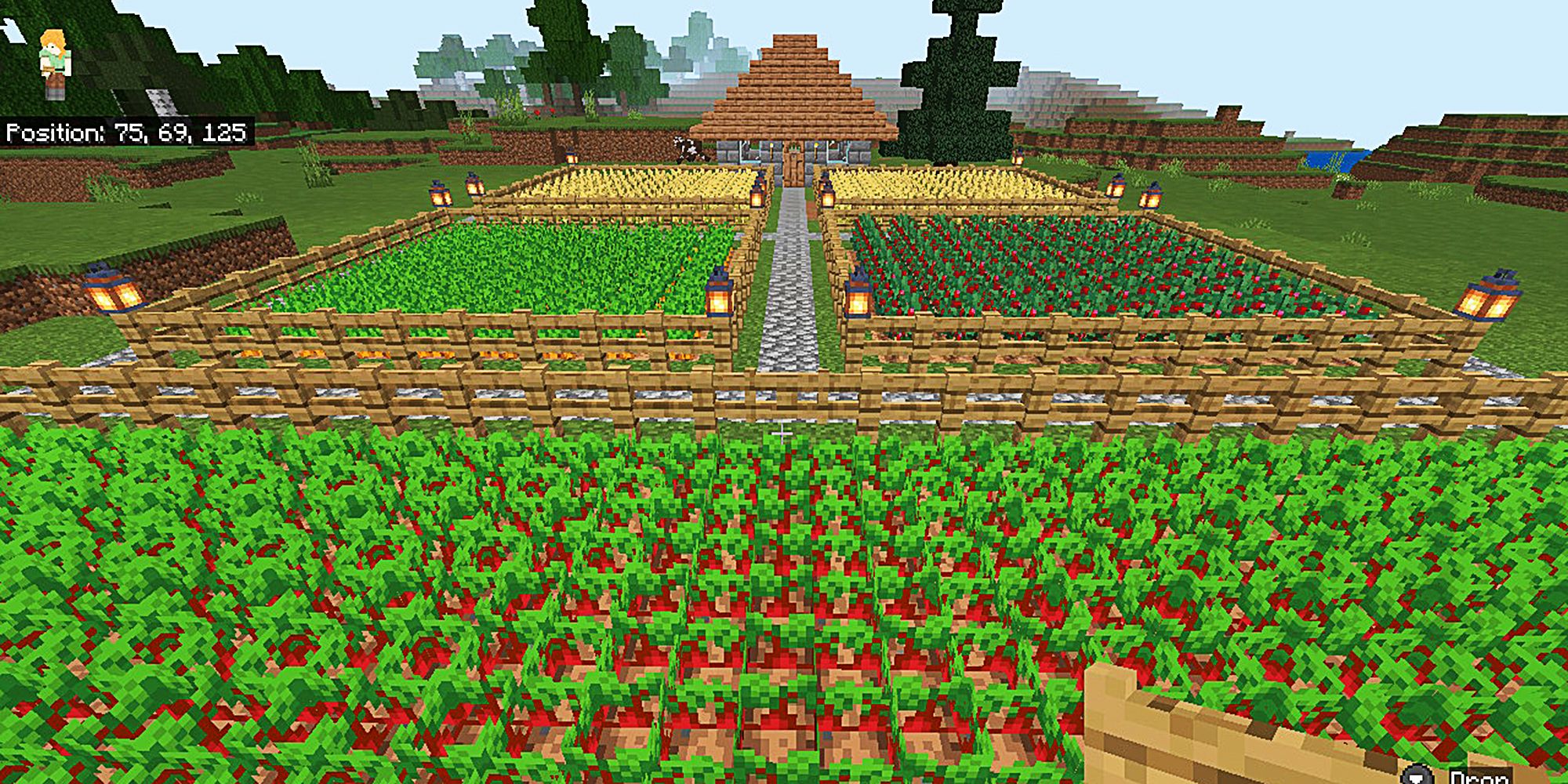 minecraft farm