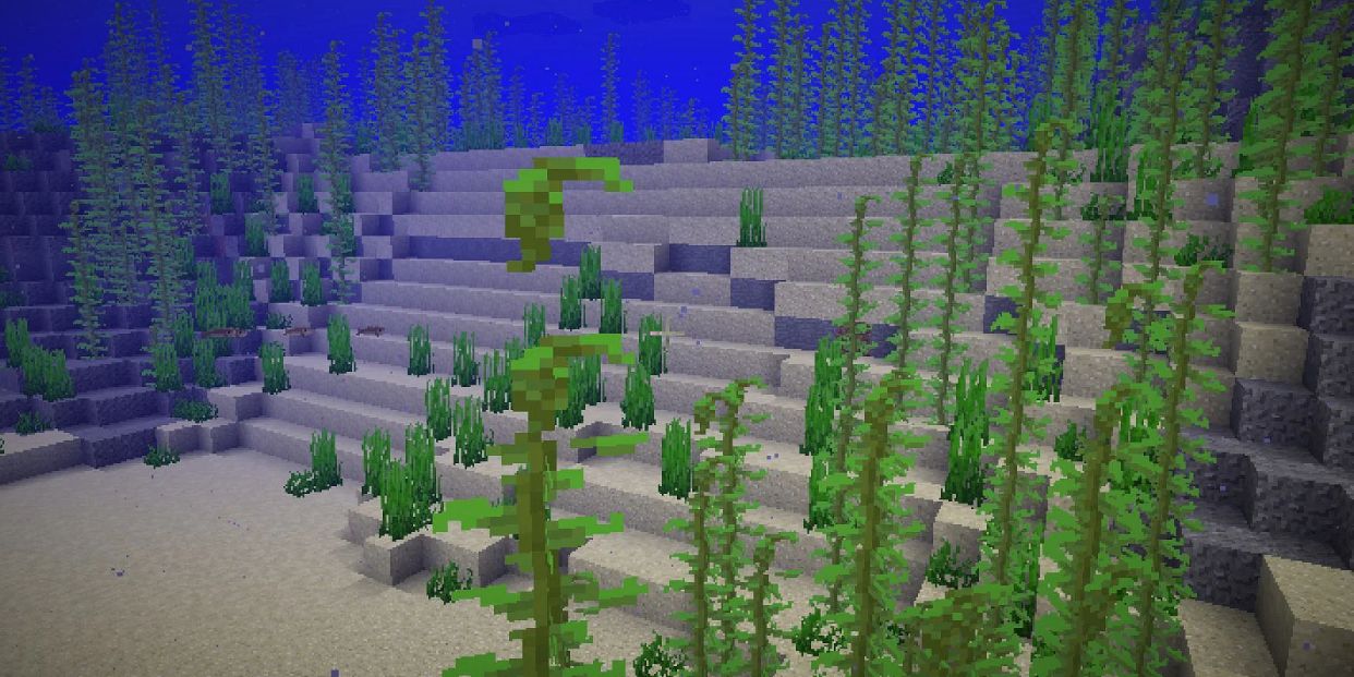 minecraft kelp