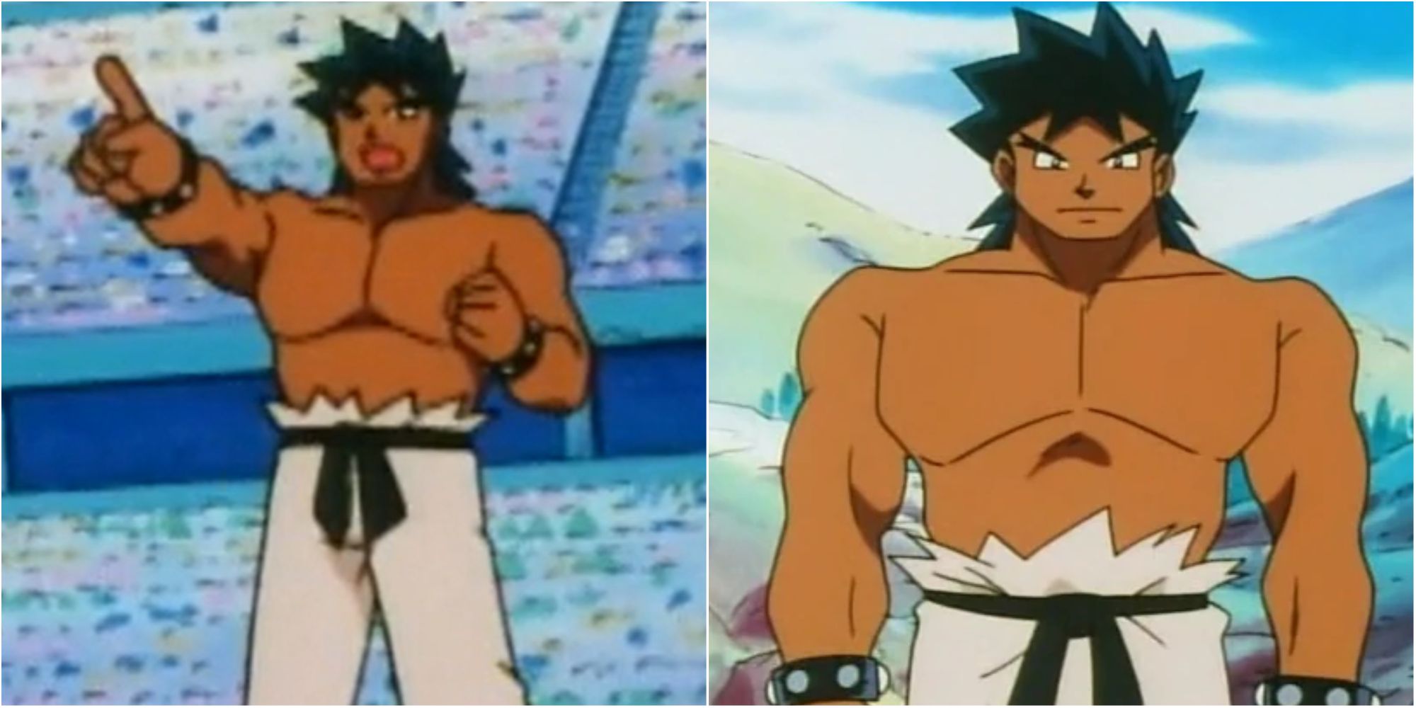 pokemon anime bruno