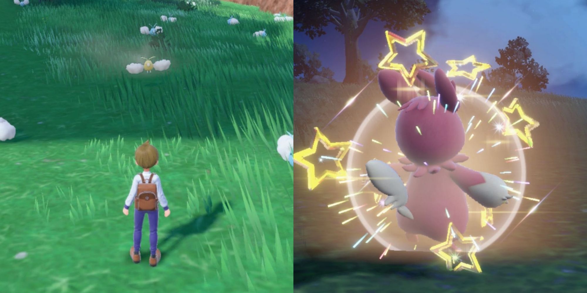 Pokemon Scarlett and Violet  How To Farm Shiny Pokemon, Shiny