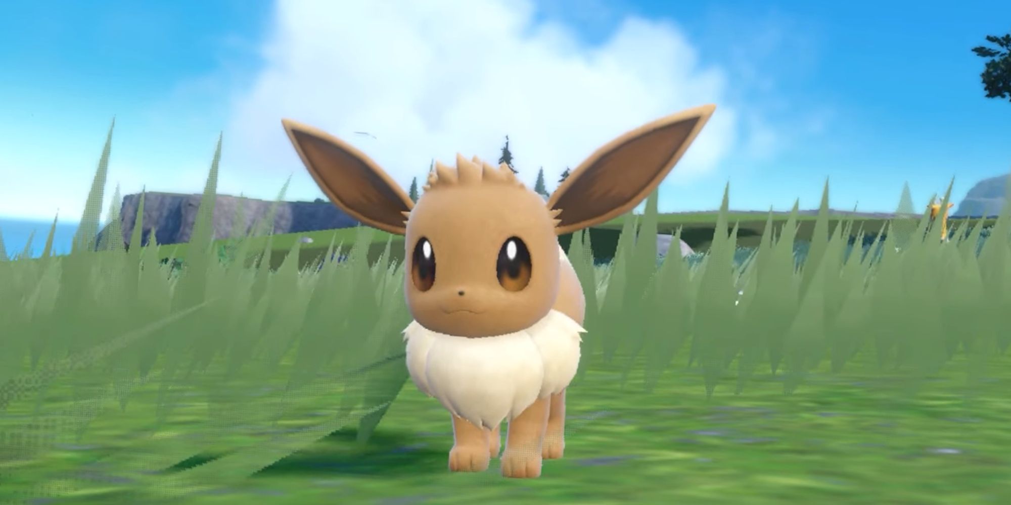 close up image of eevee