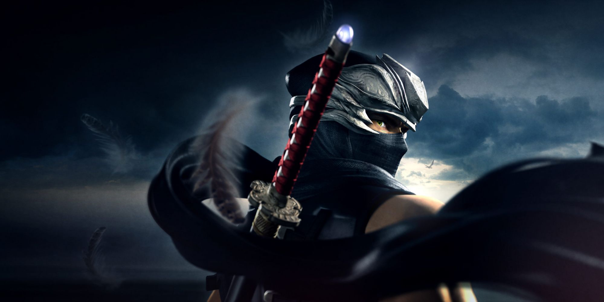 Ryu Hayabusa on the cover of Ninja Gaiden 2.