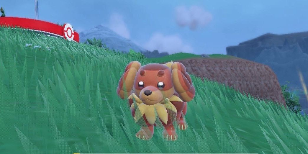 Dachsbun in the grass near a Poke Center