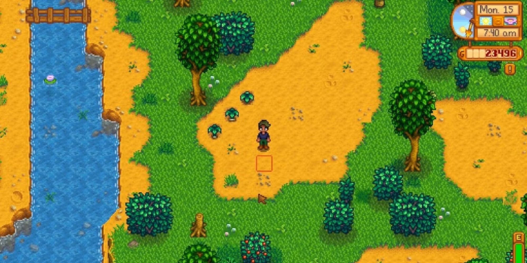 player standing near wild spring onion patch