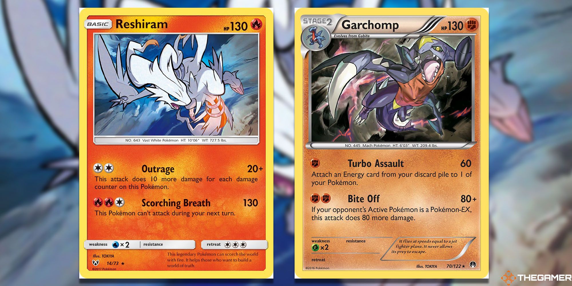 Tokiya's Reshiram and Garchomp cards.