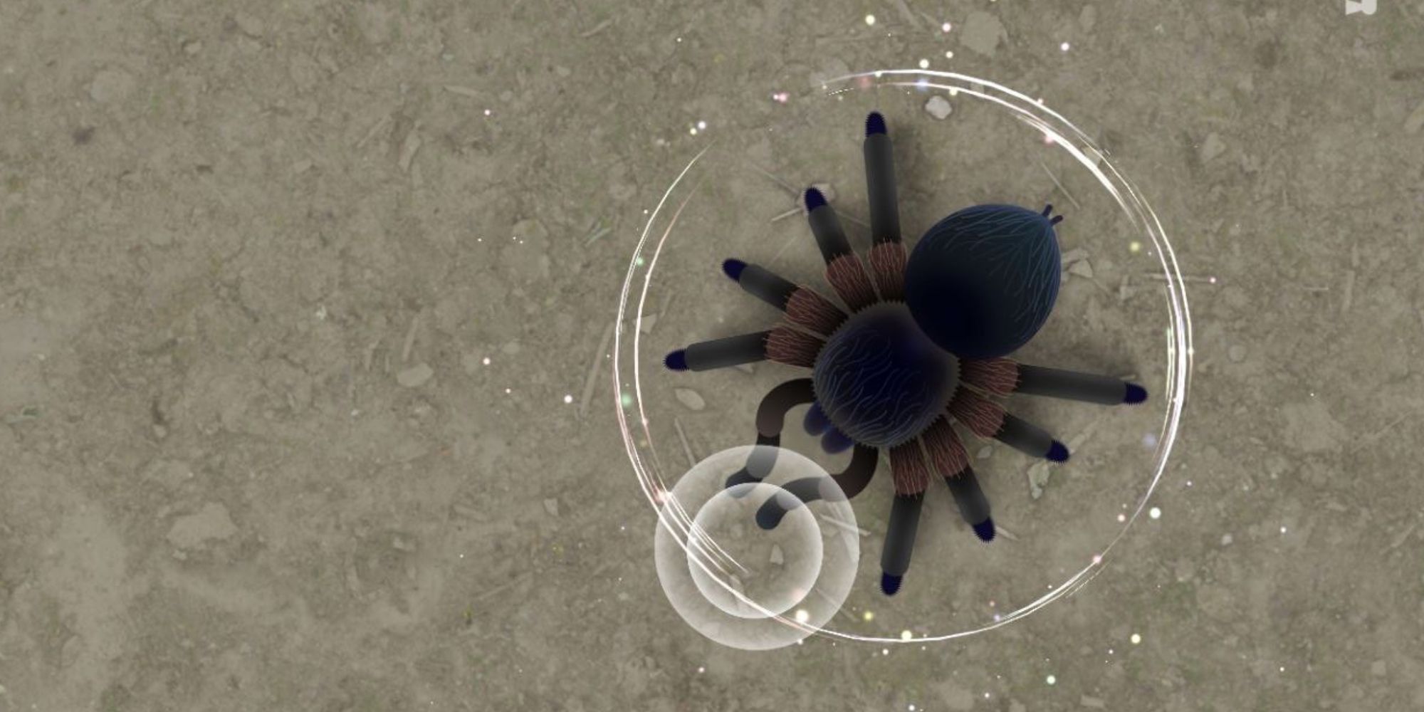 a sphere appears around a spider on the ground as it gets tapped 