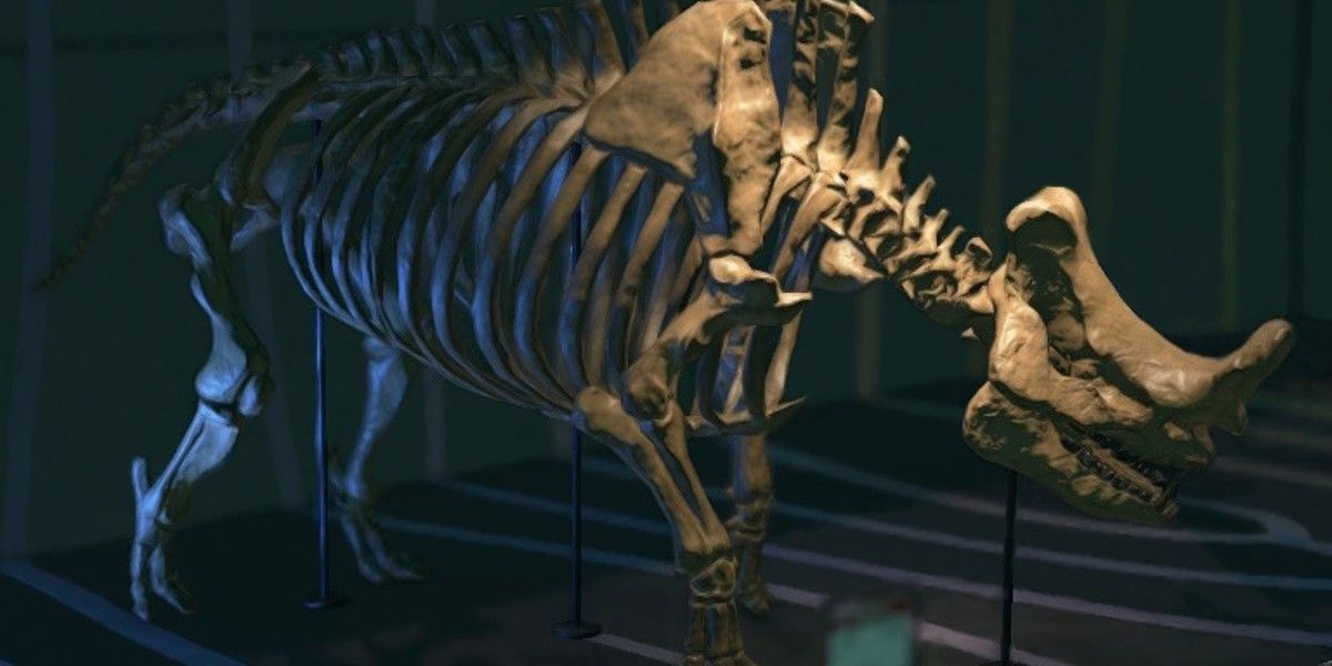 Animal Crossing New Horizons Megacerops fossil up close display