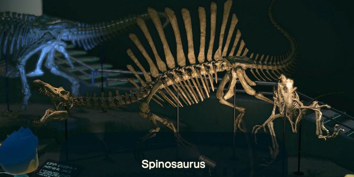Animal Crossing New Horizons Spino torso display in museum