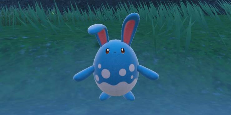 Azumarill: Huge Power In A Small Pokemon
