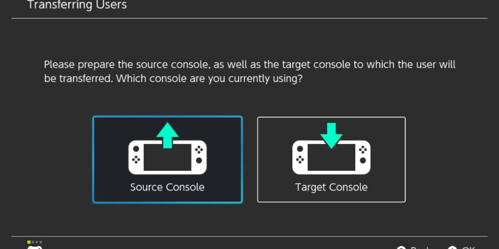 The user plans to transfer their profile from one Nintendo Switch to the other.