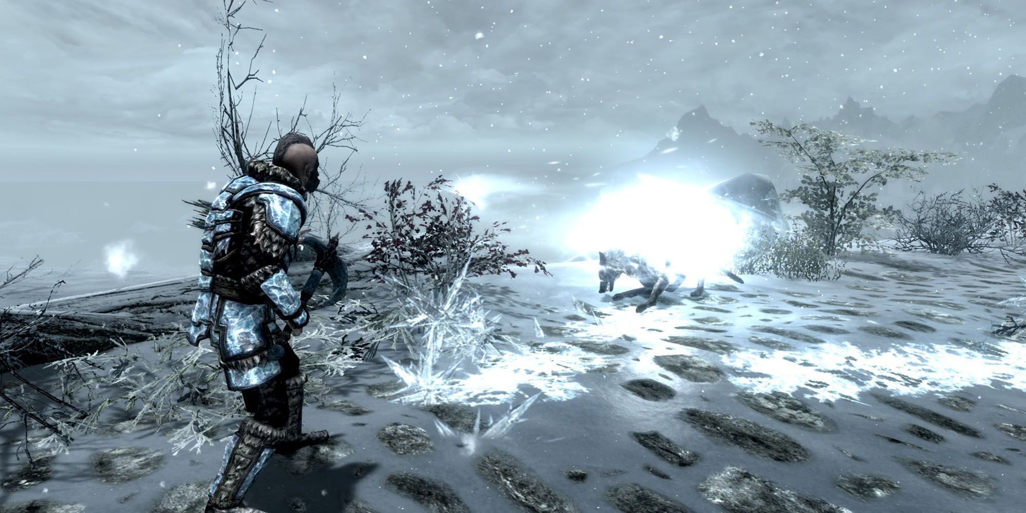 Cryomancer Fighting Style Icy Wind On Wolf