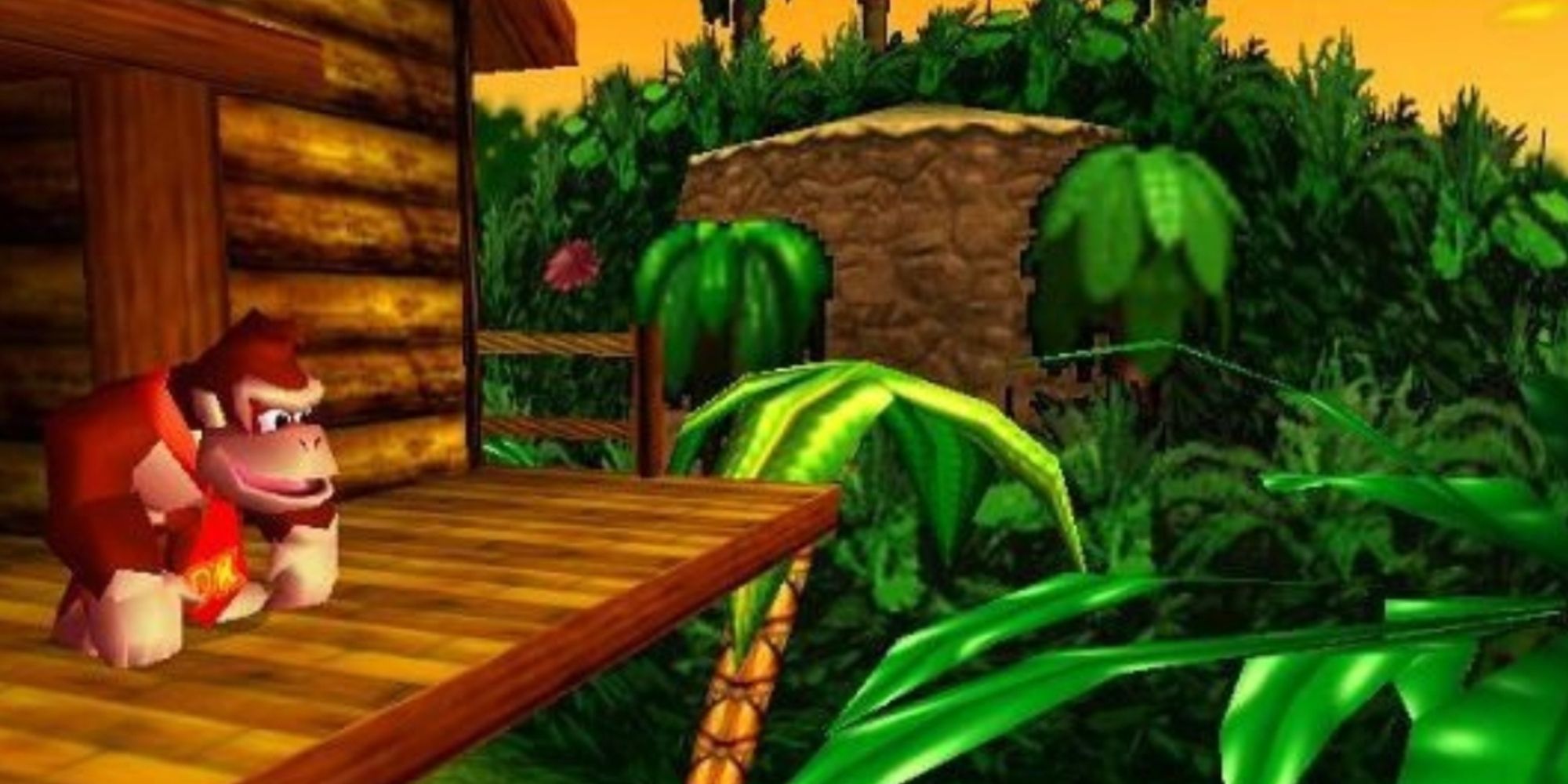 Donkey Kong looking out at the jungle from his tree house in Donkey Kong 64