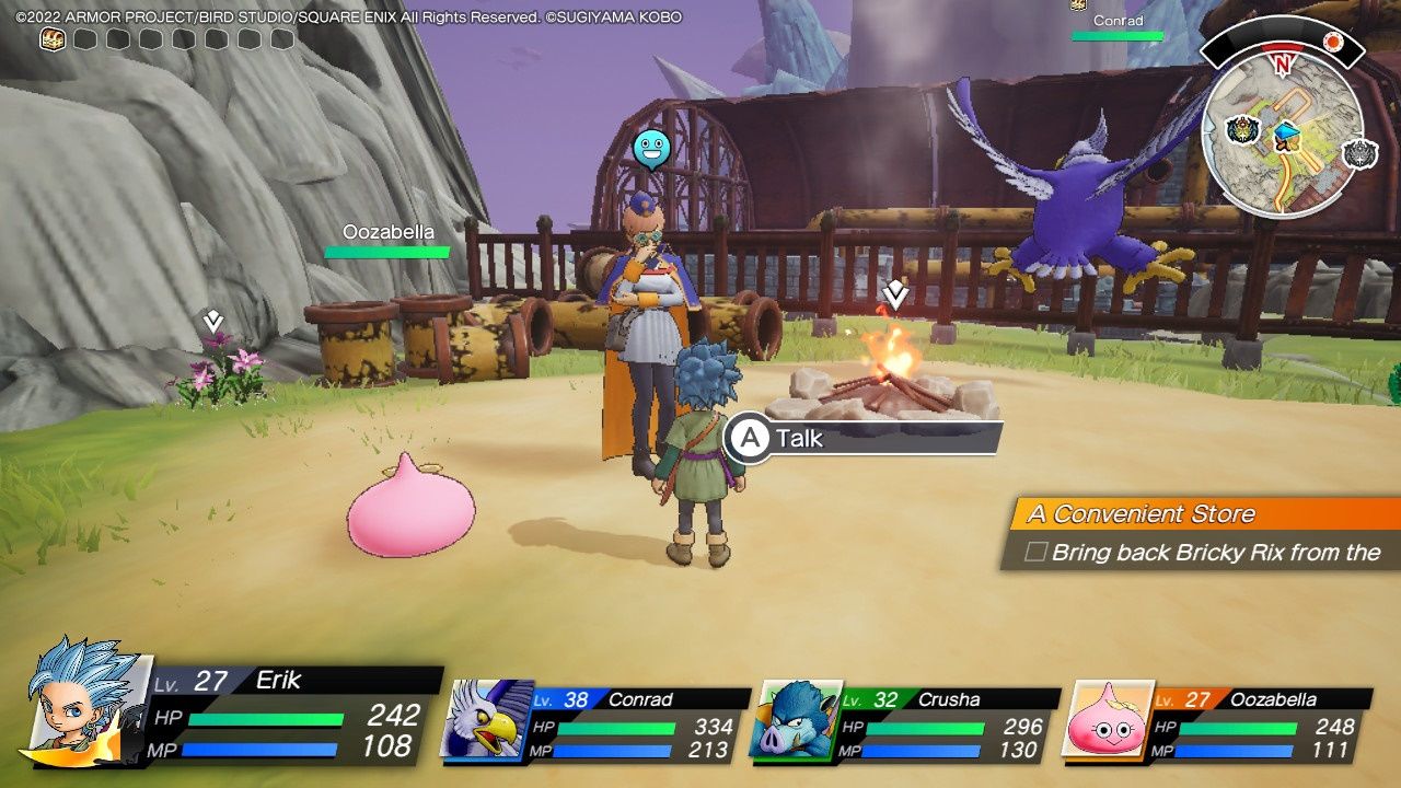 Dragon Quest Treasures, Talking To The Expedition Member