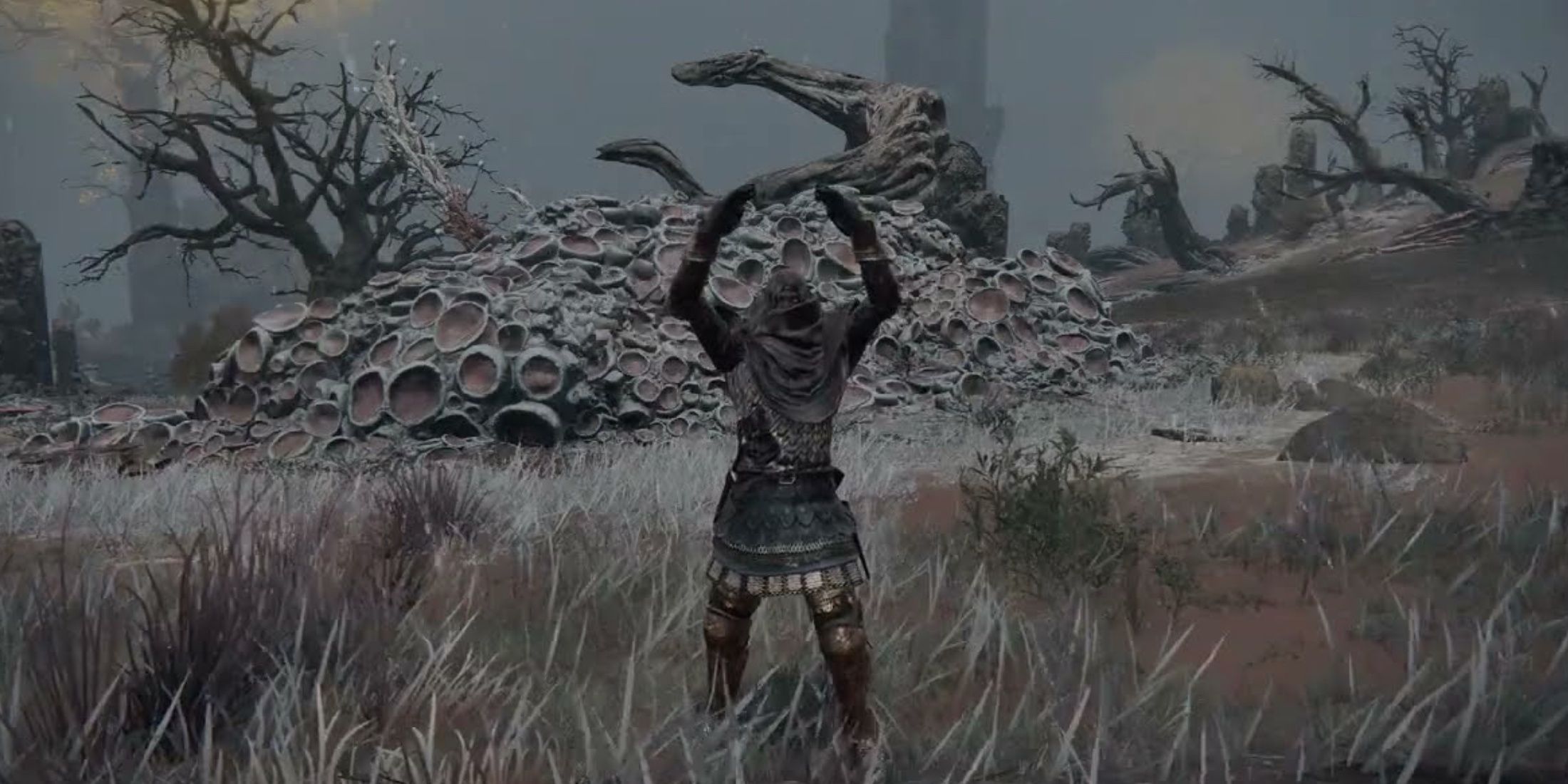 The Tarnished posing with their arms up in Caelid in Elden Ring.