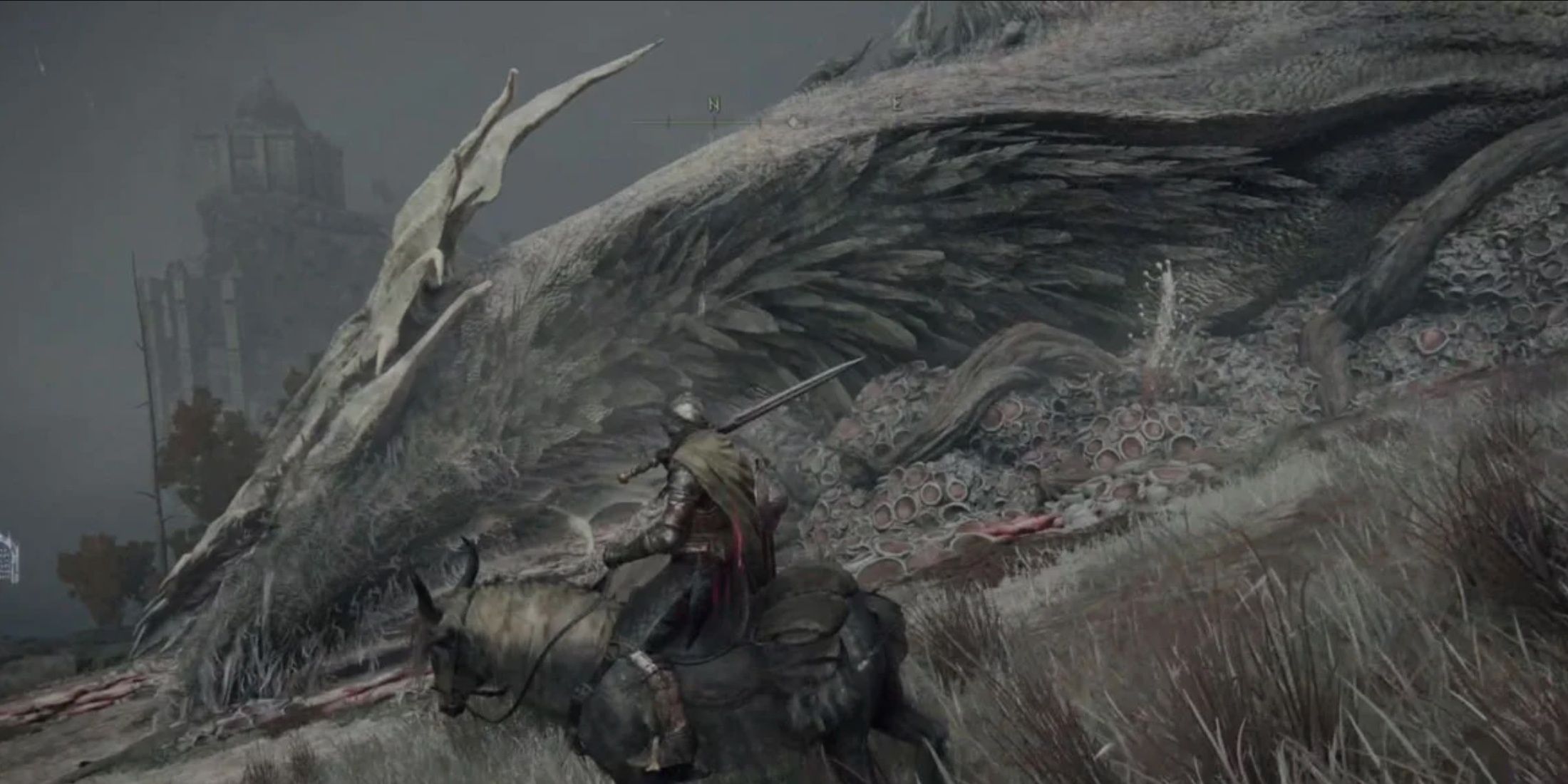 The giant sleeping dragon has been defeated in the Elden Ring.