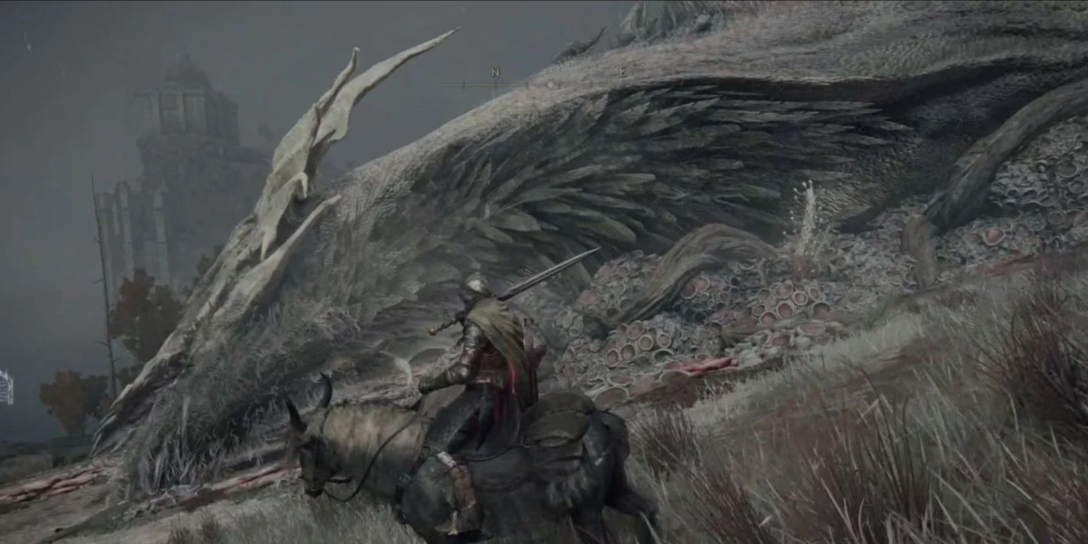 The giant Sleeping Dragon lies defeated in Elden Ring.