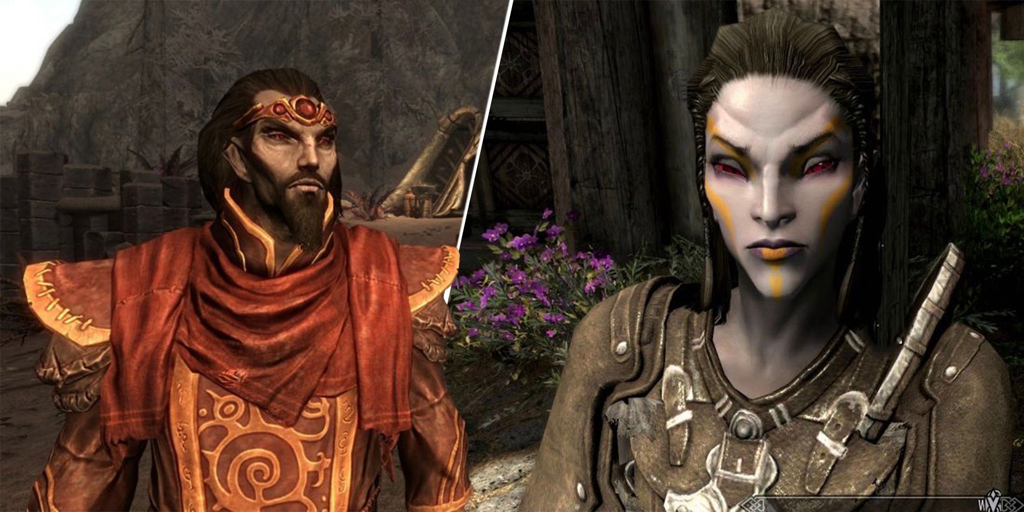 10 Things You Didnt Know About The Dark Elves In The Elder Scrolls