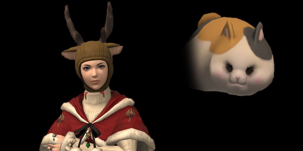 Final Fantasy 14 cringe christmas card of player and cat