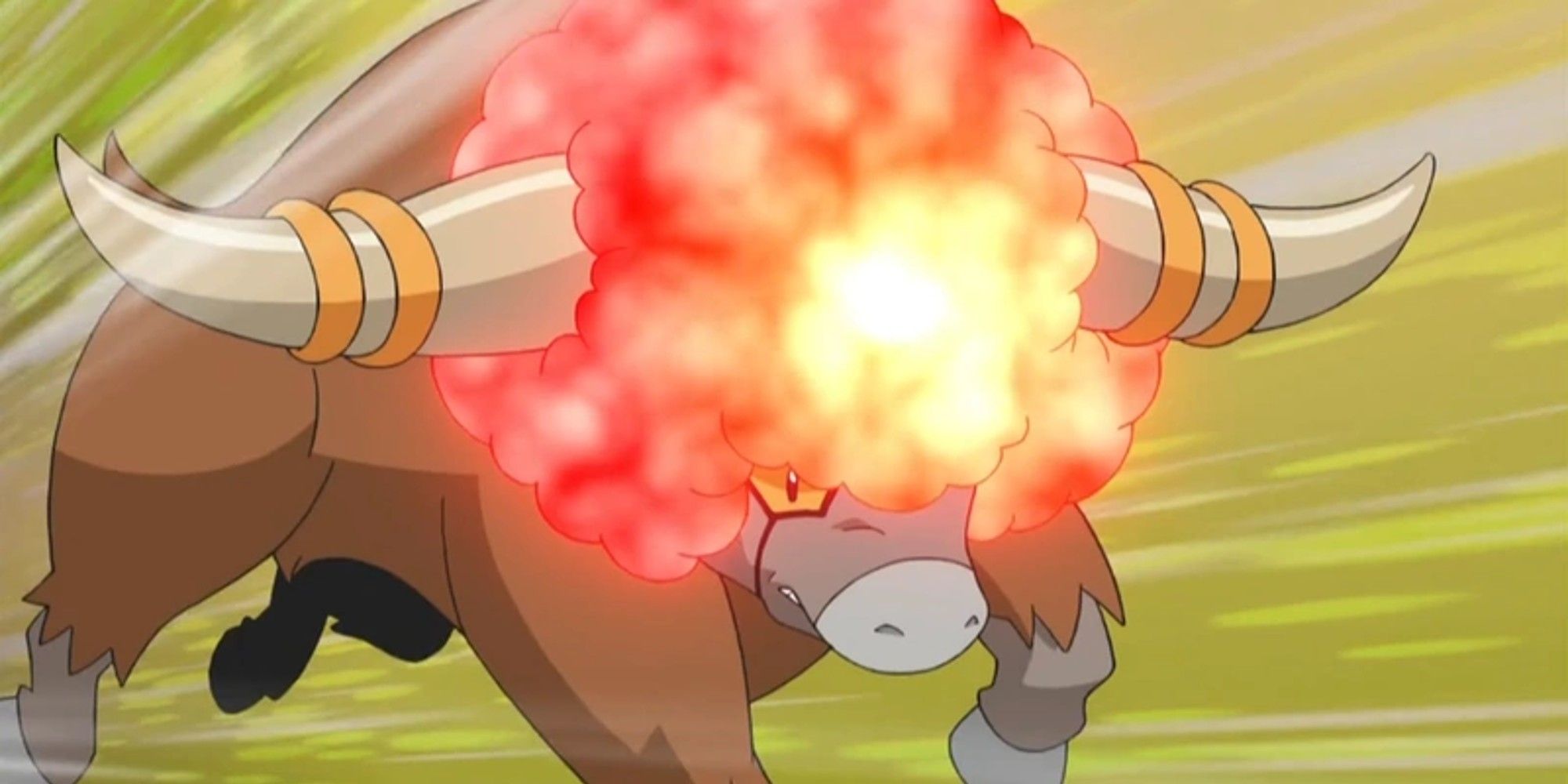 Bouffalant using Head Charge from the Pokemon Anime