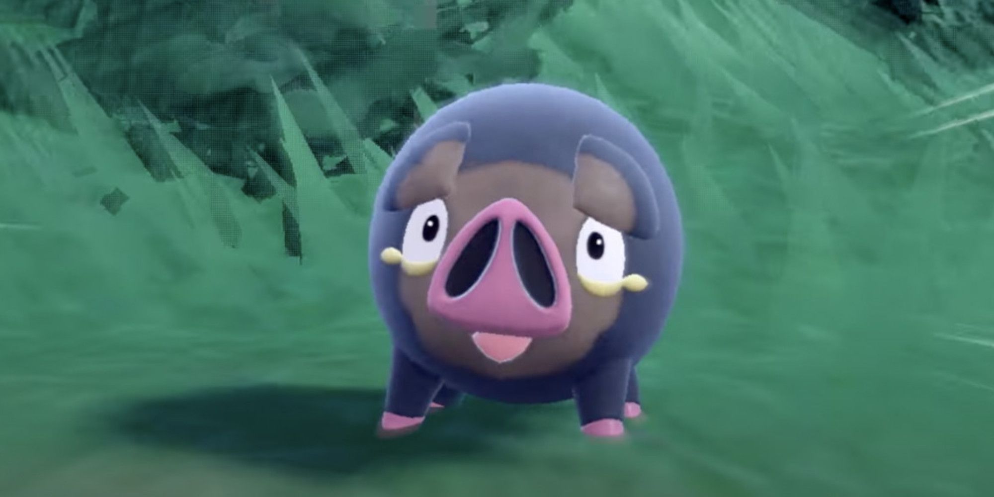 Lechonk in Pokemon Scarlet and Violet looking at the player in shock.