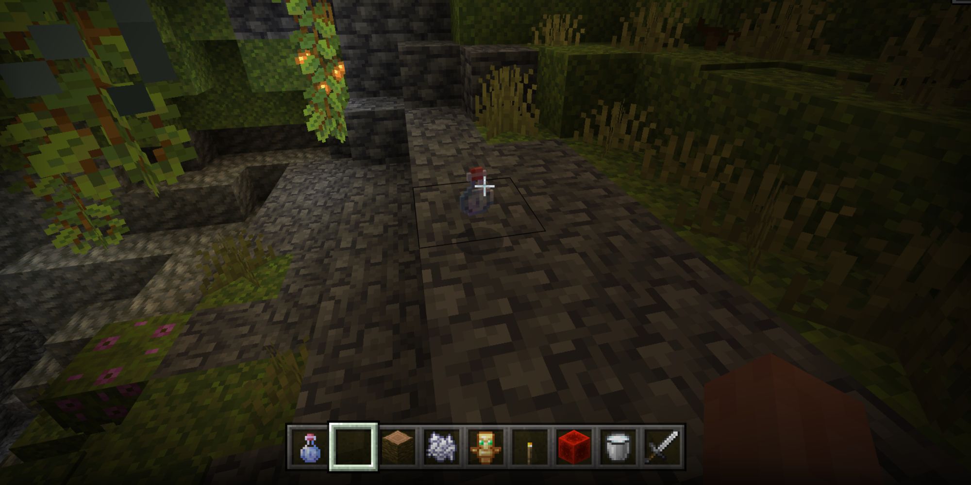 Minecraft Screenshot Of Potion Of Swiftness On The Ground