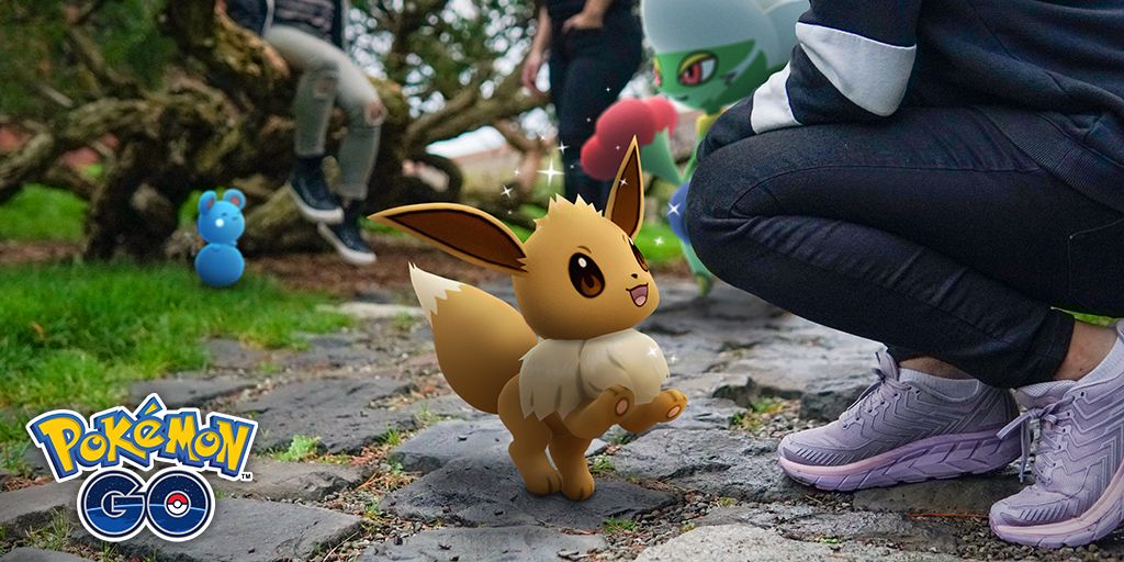 A person crouching in front of an Eevee, with other people and Pokemon in the background