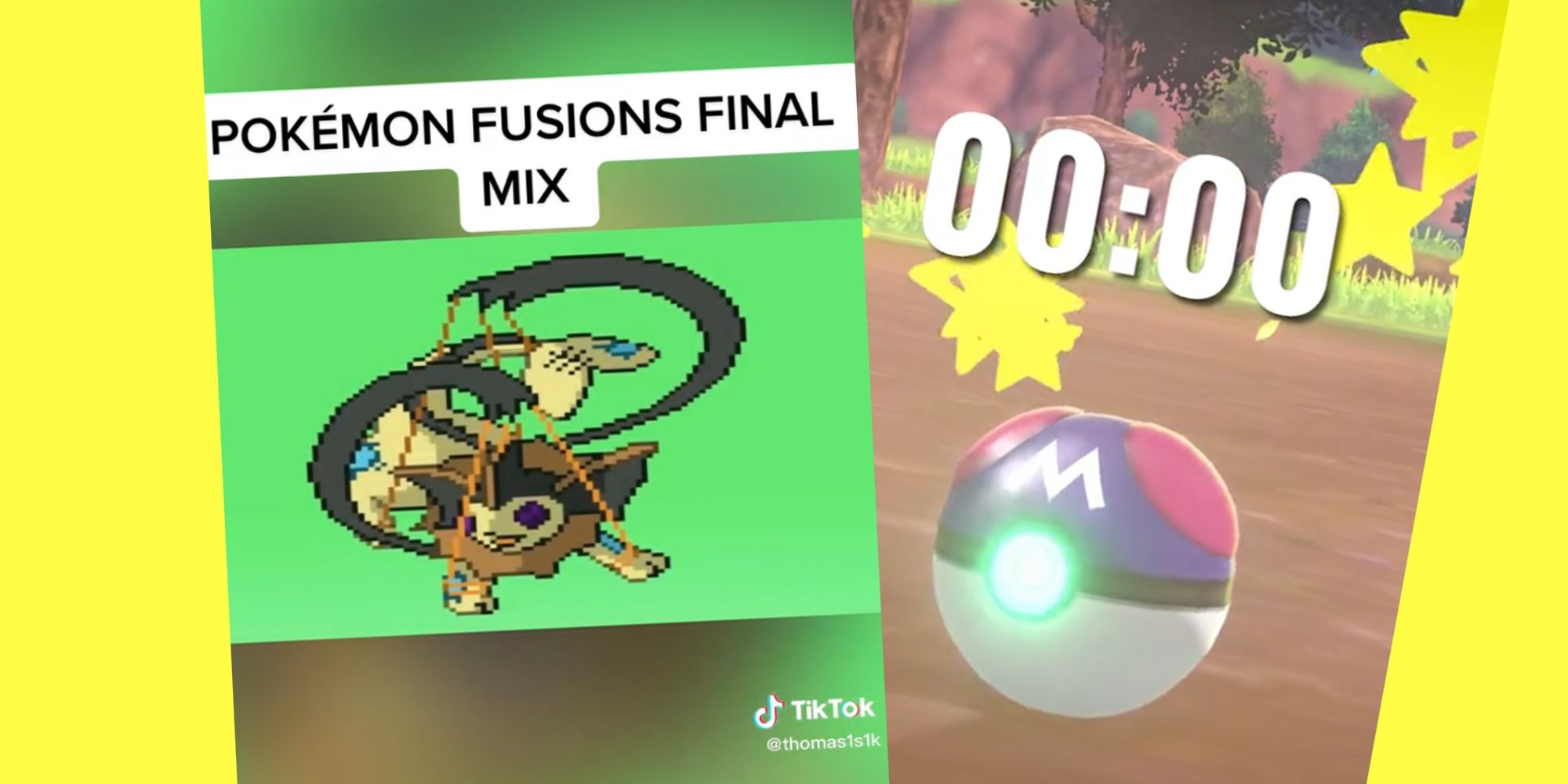 Pokemon TikTok Fusions