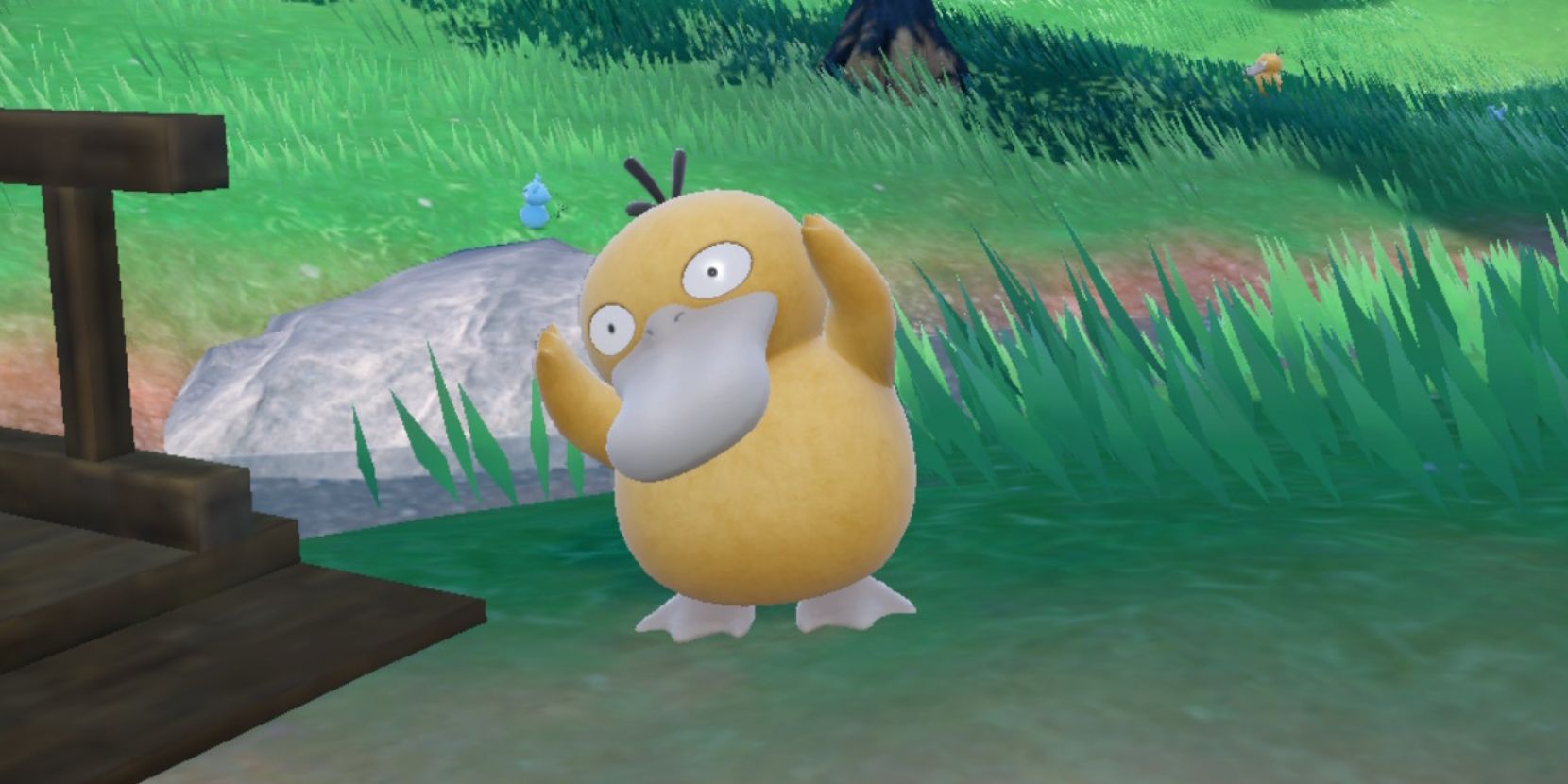 psyduck pokemon scarlet violet