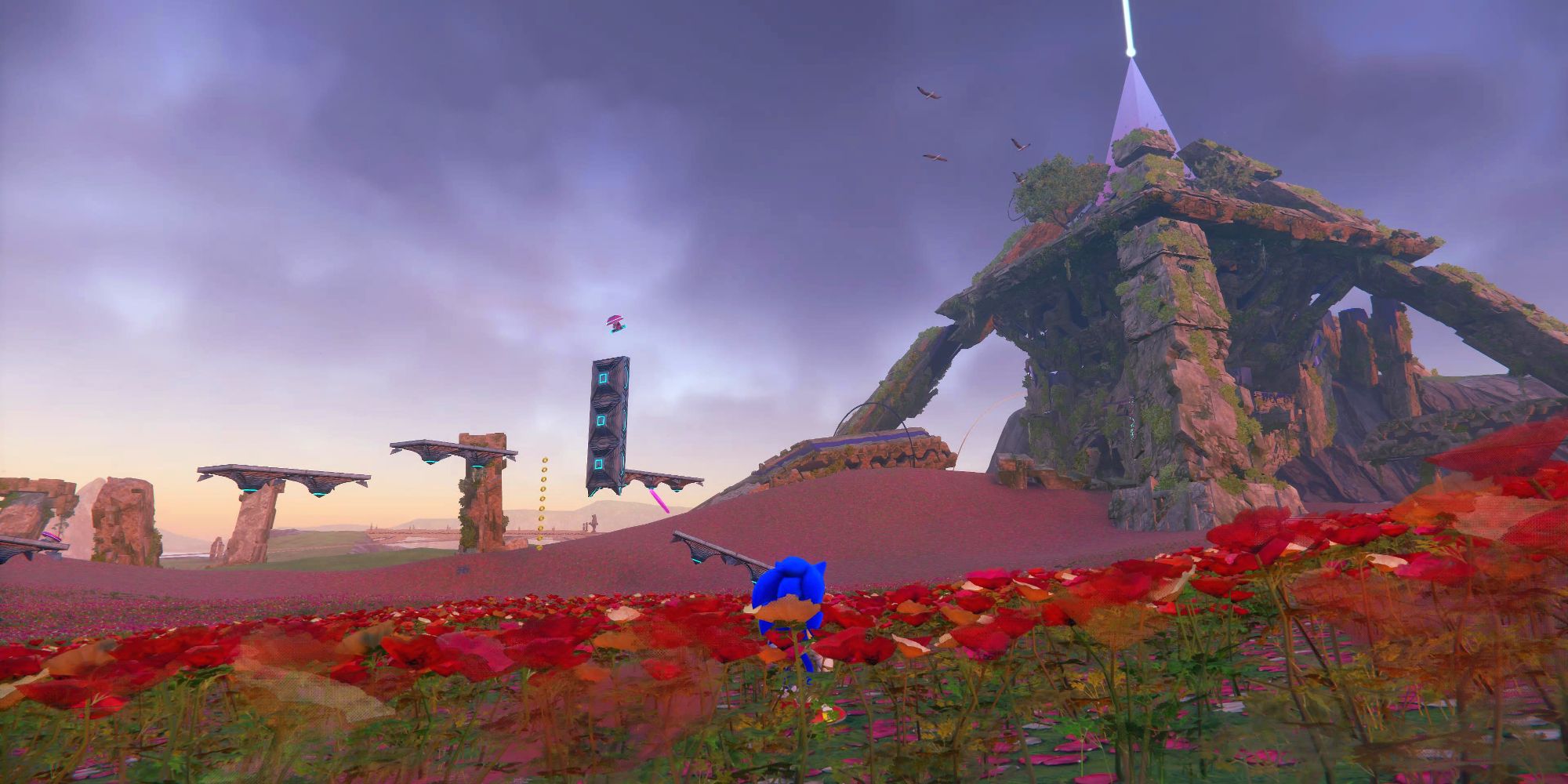 As Sonic approaches a strange ancient pyramid in the distance, he finds himself lost in a vast field of bright red nasturtium blossoms.