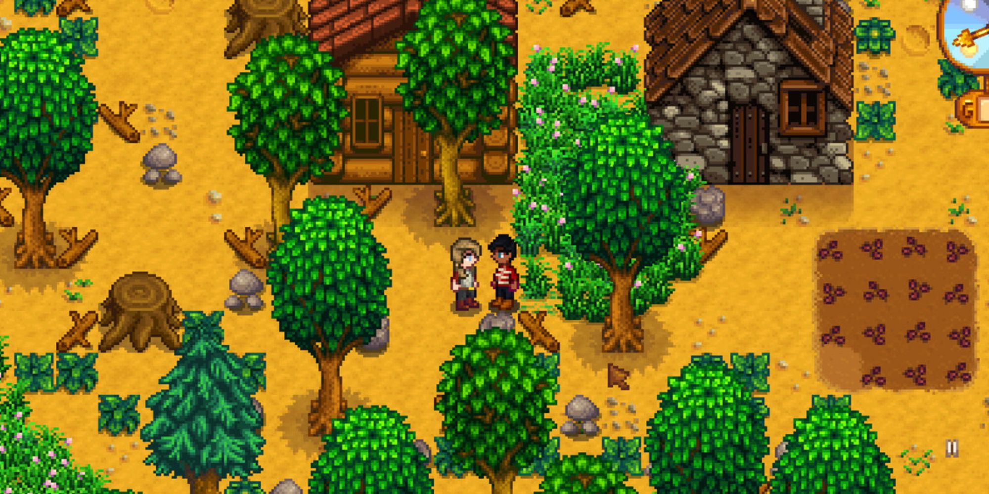 Two players in Stardew Valley looking at each other in a forest