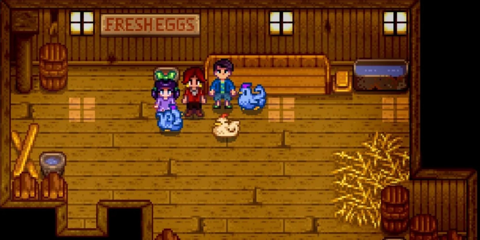 Shane, the player, and Jaz in the middle of his barn with his new blue chickens